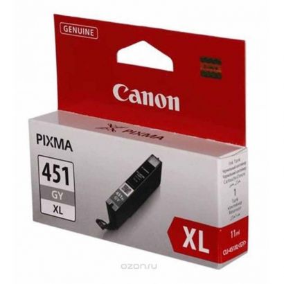 Cartouche Canon CLI-451XL GY